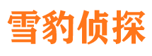 城中市侦探调查公司